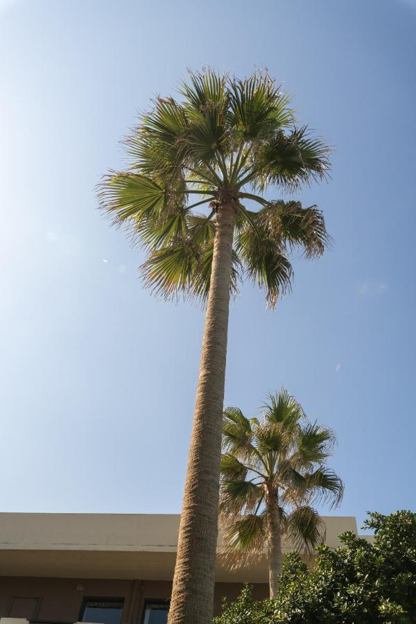 Hotel Haris On The Beach Agia Marina  Exterior photo